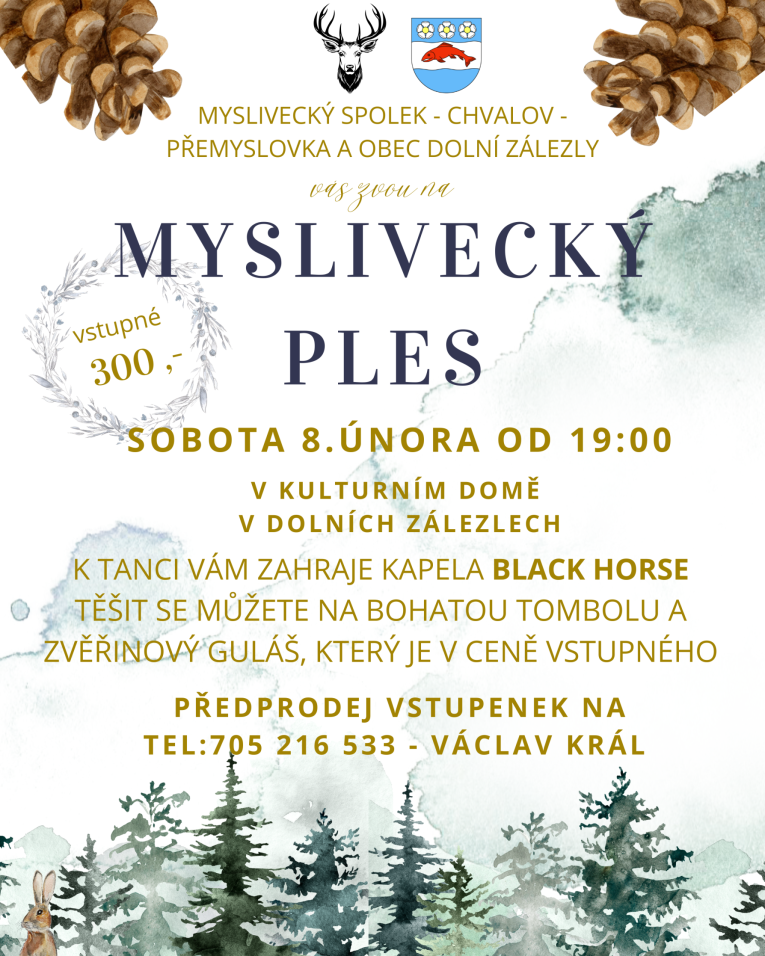 Mysivecký ples