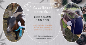 za zvířátky k betlému